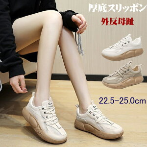 Xb|  nCJbgXj[J[ fB[XpvX O ꂷۂ fB[X V[Y JWAV[Y lC  ~ ₷ Xb| 