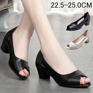 pvX fB[X T_ I[vgD pvX tbg `L[ [q[ 傫TCY q[ V[Y   ₷ Ȃ ؂ o  n 