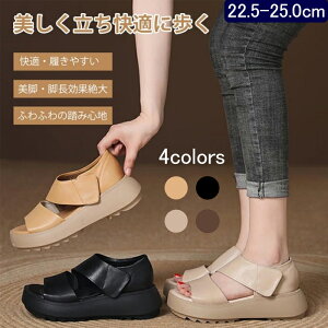 T_ fB[X X|[cT_ Od Xj[J[ T_ L ʋC  y ₷ T_ gAbv 5cmy ~ r ʋCK L  t  