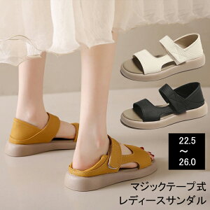 T_ fB[X ؂ 2way ₷ }WbNe[v fB[X T_ obNXgbv Xb| Xj[J[ r[`T_  tbgT_ [q[ X