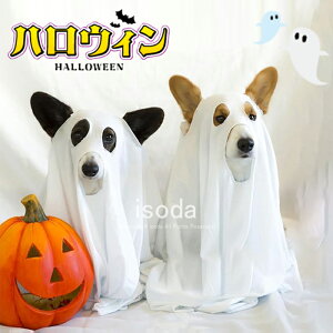 nEB RXv  L ybg H  S }g P[v RX`[ ߑ @g   hbOEGA ybgEGA ΂   ϑ ϐg ObY 킢