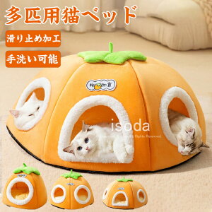 L xbh h[^ ybgxbh Lxbh C 􂦂 g  ˂xbh ` `^ybgnEX h[ h[nEX ybgxbh ӂӂ NbV  ~p h[xbh y