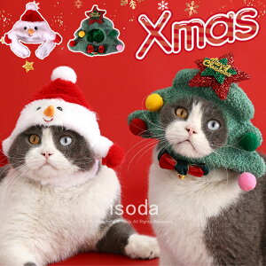 ybgXq NX}X T^Xq ybg 蕨 RX`[ T^N[X T^ RXv L  T^ ^ Lp H ~ h  ybgXq Lnbg ʔ L蕨 