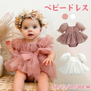 Zj[hX xr[hX ̎q Ԃ xr[ s[X p[X ̎q  [X   q v[g oYj `[ 킢   66 73 80 90 {