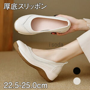 V[Y fB[X p Xj[J[ Xb| C y ʋC [Jbg V[Y i[XV[Y ₷   EH[LOV[Y Ȃ ЂȂ JWAV