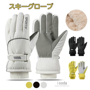 yԌE10%OFFz XL[O[u oCNO[u Xm[{[h ~ fB[X Y h ]  fB[X 킢  N oCN h h  X}z  X}z