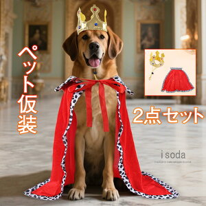  nEB RX`[ L l ql |` }g   L RXv ybgp RX`[  hbOEFA EȒP 蕨 ybgEFA RX`[ ^ ϑ 