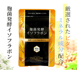 ۔y C\t{ Tv 90 AO}bNX 30 哤C\t{ Tvg XN  j eTv GNI[ Tv XNTv  n e N 30 40 50 