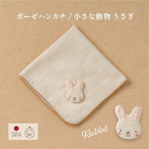 y A[T}}z K[[nJ` ȓ    I[KjbNRbg oYj { Ԃ Ԃp xr[ q xr[nJ` ԂK[[ ^I ~