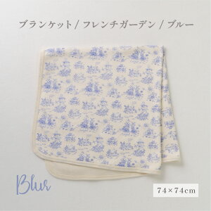 y d̐Xz uPbg / t`K[f u[ O[ vg  Rbg { oYj xr[  Ԃ V xr[ j 蕨 v[g މ@  x