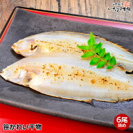 島根県産 国産 笹かれい ササカレイ 干物 一夜干し 6枚詰め 山陰 日本海 獲れ 旨み凝縮 小サイス 朝食サ…