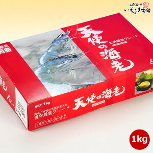  a v[g Hו Mtg Vg̊CV1kg hg GrtC VՂ Gr`am Vg̃Gr CV  Ă񂵂̂ 蕨 Ε j j  yY 