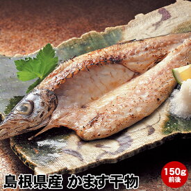 楽天市場 カマス その他水産物 魚介類 水産加工品 食品の通販