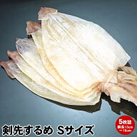 業務用 5枚でお得 剣先するめ 剣先スルメ Sサイズ 小サイズ 剣先イカ するめ 塩干品 ビール お酒のあて …