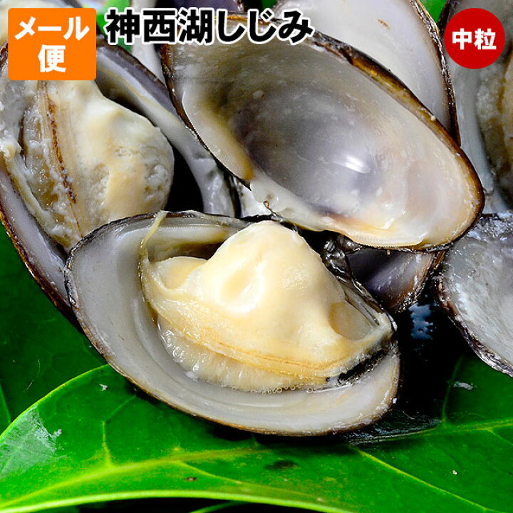 市場 ふるさと納税 Kai 小分け 100g 神西湖 調理 貝 個包装 蜆 料理 常温 10パック 1kg Cai しじみ 日持ち