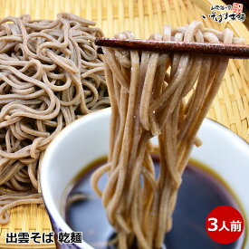 お取り寄せグルメ 日本三大そば処 出雲そば 割子そば 釜揚げそば 出雲ソバ 3人前 乾麺 蕎麦 出雲縁結び ソバ つゆ付き 玄そば をそのまま挽き込む 挽きぐるみ 製法 黒い蕎麦 出雲蕎麦 ざる蕎麦 かけそば 年越しそば 引っ越しそば 田舎そば 乾麺 常温 保存食