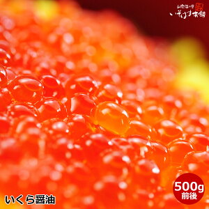  a Mtg v[g kCY H ݖ 500g  kC H̗ ؎qĂ܂ 瘥 CN ߂ 炱ڂ CNт T[CN CN