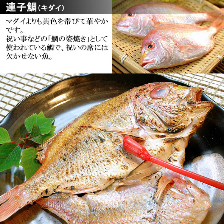 楽天市場】送料無料 お誕生日 お歳暮 ギフト プレゼントのどぐろ 祝鯛入り市場に並ぶ ミニチュア版トロ箱入 干物セット祝鯛・ノドグロ ( のど黒 赤むつ ) イカ かます 沖ぎす あじ・干物 一夜干し 島根 内祝い 贈り物 お土産 おつまみ 海鮮 あす楽 水産加工 : 山陰海の幸 ... 楽天市場】送料無料 お誕生日 お歳暮 ギフト プレゼントのどぐろ 祝鯛入り市場に並ぶ ミニチュア版トロ箱入 干物セット祝鯛・ノドグロ ( のど黒 赤むつ ) イカ かます 沖ぎす あじ・干物 一夜干し 島根 内祝い 贈り物 お土産 おつまみ 海鮮 あす楽 水産加工 : 山陰海の幸 ...