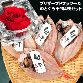 送料無料 お誕生日 母の日 父の日 プレゼント 食べ物 ギフト のどぐろ！赤色バラのプリザーブドフラワー付き 山陰・日本海の高級魚・白身のトロと称される のどぐろ干物 旬干し 一夜干し 80g前後 4枚詰め 贈り物 贈答 グルメ お土産 あす楽 水産加工