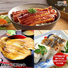 送料無料 お誕生日 敬老の日 ギフト プレゼント あなご3味セット ( 蒲焼2切・煮穴子2切・白焼1パック・たれ ) 過熱水蒸気焼きでジューシー 穴子はふんわり柔らか 国産 天然 アナゴ 島根 日本海 近海魚 贈答 内祝 御祝い お歳暮 おつまみ お取り寄せ 海鮮グルメ ギフトに最適