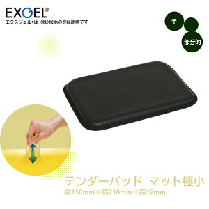 �e���_�[�p�b�h �}�b�g�ɏ�