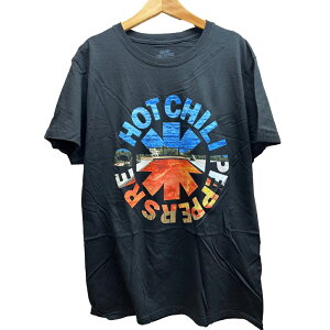 ���b�h�z�b�g�`���y�b�p�[�Y T�V���c ���b�`�� t�V���c Red Hot Chili Peppers CALIFORNICATION ASTERISK MENS T-SHIRT �A�����J���K���C�Z���X���i
