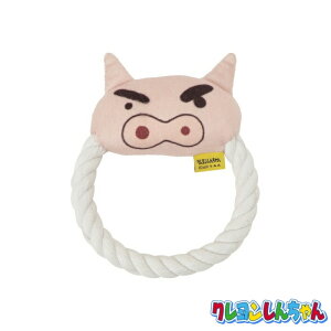 N񂿂 p  [vt ԂԂ肴  荇 ybg LN^[ObY KY2022