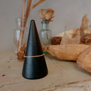 ARTUAM チェーンリング レディース 14K 14金 ChainRing Chain Flat Cable Chain 16号 5.65cm NE021-16