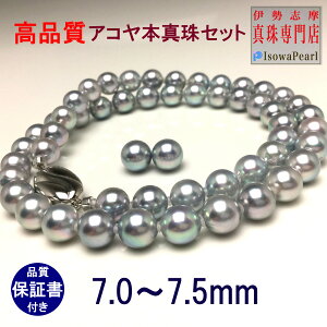 AR^lbNX sAXorCOZbg u[O[ V  p[lbNX 7.0-7.5mm anes70b