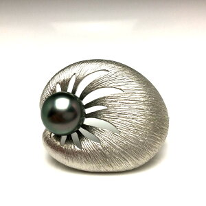 ^ u[` p[ ^ 10.6mm s[RbNO[ Vo[ A 65902 C\p[