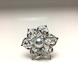 ^ u[` p[ AR^ 9.6mm zCgVo[u[ii`j Vo[ A t[ 66666 C\p[