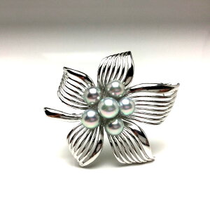 ^ u[` p[ AR^ 6.0-6.5mm Vo[u[ Vo[ A t[ 69094 C\p[