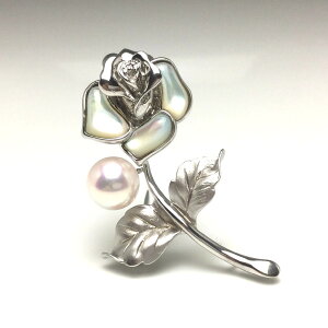 ^ u[` p[ AR^ 9.1mm zCgsN Vo[ VF A t[ o 70528 C\p[