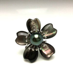 ^ u[` p[ ^ 9.45mm fB[vO[ Vo[ VF A t[ 66029 C\p[