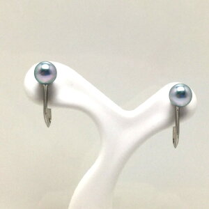 ^ CO p[ AR^ 5mm u[ Vo[ 73474 C\p[