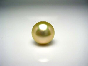 ^ lN^Cs p[ ^ 12.9mm CgS[hii`j K18 CG[S[h j 53376 C\p[