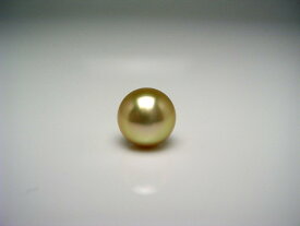 真珠 ネクタイピン パール 白蝶真珠 9.7mm ゴールド（ナチュラル） K18 イエローゴールド 針 58118 イソワパール