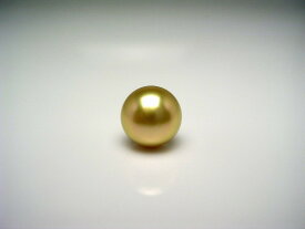 真珠 ネクタイピン パール 白蝶真珠 9.05mm ゴールド（ナチュラル） K18 イエローゴールド 針 58121 イソワパール