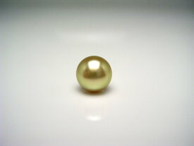 真珠 ネクタイピン パール 白蝶真珠 9.0mm ゴールド（ナチュラル） K18 イエローゴールド 針 58176 イソワパール