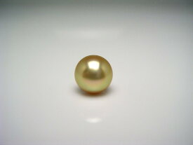 真珠 ネクタイピン パール 白蝶真珠 9.0mm ゴールド（ナチュラル） K18 イエローゴールド 針 58177 イソワパール