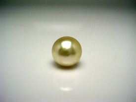 真珠 ネクタイピン パール アコヤ真珠 10.5mm シャンパンゴールド K18 イエローゴールド 針 60283 イソワパール