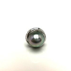 ^ lN^Cs p[ AR^ 9.1mm Vo[O[O[ Vo[ 65671 C\p[