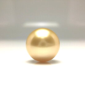 真珠 ネクタイピン パール 白蝶真珠 10.9mm ゴールド（ナチュラル） K18 イエローゴールド 針 68204 イソワパール