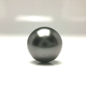 ^ lN^Cs p[ ^ 9.4mm ~hO[ Pt900 v`i j 68353 C\p[