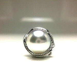 ^ lN^Cs p[ AR^ 9.08mm Vo[u[ii`j Vo[ 67800 C\p[