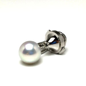 ^ lN^Cs p[ AR^ 9.3mm Vo[zCgu[ii`j Pt900 v`i j 73831 C\p[