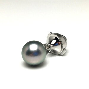 ^ lN^Cs p[ ^ 10.8mm Vo[O[ Pt900 v`i j 74177 C\p[