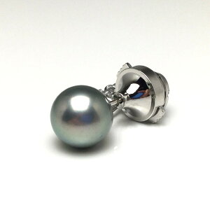 ^ lN^Cs p[ ^ 10.5mm Vo[O[ Pt900 v`i j 74180 C\p[