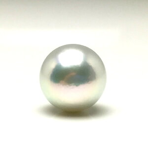 ^ lN^Cs p[ AR^ 10.0mm Vo[zCgu[ii`j Pt900 v`i j 79299 C\p[