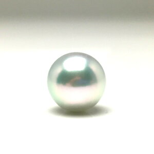 ^ lN^Cs p[ AR^ 9.9mm Vo[zCgu[ii`j Pt900 v`i j 79311 C\p[